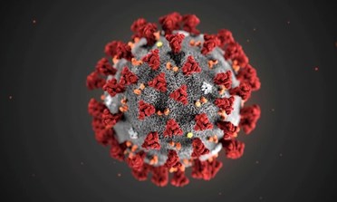 Coronavirus 2019 - Campagna informativa nelle farmacie