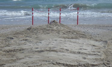 Telecontrollo sugli scolmatori  finanziato un progetto di Aset. Dalla Regione 221.000 euro per migliorare la balneabilità