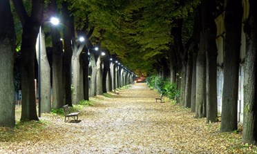 Illuminazione pubblica, altri 27 lampioni a Led  concludono il programma triennale 2018-2020  Reginelli: «Lavoriamo per dare continuità agli interventi»   