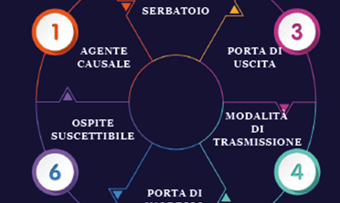 Giornata mondiale dell'igiene delle mani